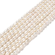 Natural Cultured Freshwater Pearl Beads Strands, Rice, Grade 3A, PapayaWhip, 5~7.5x4~4.5mm, Hole: 0.5mm, about 56pcs/strand, 14.17 inch(36cm)(PEAR-E016-150)