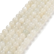 Natural White Moonstone Beads Strands, Round, WhiteSmoke, 8mm, Hole: 1mm, about 49pcs/strand, 16 inch(X-G-D294-8mm)