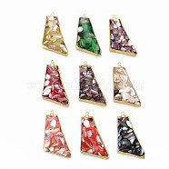Resin Pendants, with Chip Freshwater Shell and Brass Loop, Electroplate, Polygon, Mixed Color, 34x20x5~6mm, Hole: 1.4mm(SHEL-S276-152)