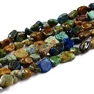 Natural Chrysocolla and Lapis Lazuli Beads Strands, Nuggets, Tumbled Stone, 5~8.5x5.5~7x3.5~4mm, Hole: 0.7mm, about 64pcs/strand, 16.34 inch(41.5cm)(G-G018-63)