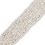 Electroplate Non-magnetic Synthetic Hematite Beads Strands, Grade AA, Long-Lasting Plated, Faceted, Rondelle, Silver Plated, 3x2mm, Hole: 0.8mm, about 182pcs/strand, 15.7 inch(40cm)(G-L485-06A-S)