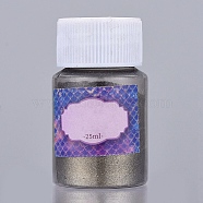 Pearlescent Mica Pigment Pearl Powder, For UV Resin, Epoxy Resin & Nail Art Craft Jewelry Making, Gray, Bottle: 29x50mm, about 6~7g/bottle(X-DIY-L034-04S)