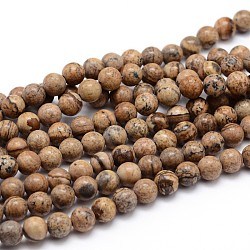 Natural Picture Jasper Round Bead Strands, 8mm, Hole: 1mm; about 45pcs/strand, 16 inches(G-J303-08-8mm)