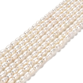 Natural Cultured Freshwater Pearl Beads Strands, Rice, Grade 3A, PapayaWhip, 5~7.5x4~4.5mm, Hole: 0.5mm, about 56pcs/strand, 14.17 inch(36cm)