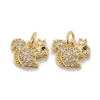 Autumn Theme Brass Micro Pave Clear & Black Cubic Zirconia Charms, Squirrel, Golden, 12x12.5x2mm, Jump Ring: 5x0.8mm, Inner Diameter: 3.4mm