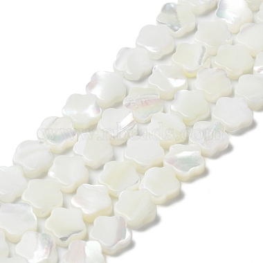 Natural Trochus Shell Beads Strands(X-BSHE-P033-07)-2