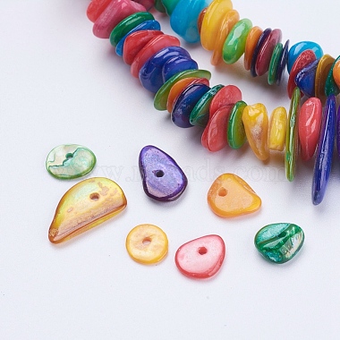 Natural Shell Chips Beads Strands(SSHEL-J050-01)-3
