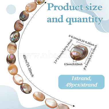 1 Strand Natural Paua Shell Beads Strands(BSHE-ME0001-05)-2