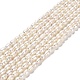 Natural Cultured Freshwater Pearl Beads Strands(PEAR-E016-150)-1