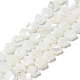 Natural Trochus Shell Beads Strands(X-BSHE-P033-07)-2