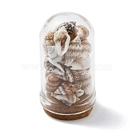 Glass Dome Bottle Display Decorations, with Natural Shell Bead Inside and Cork Base, White, 46~48x25mm(AJEW-JD00008-01)