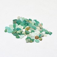 Natural Amazonite Chip Beads, No Hole/Undrilled, 2~8x2~4mm, about 340pcs/20g(X-G-O103-08)