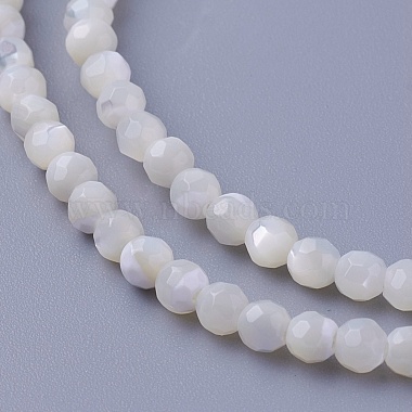 3mm Round Other Sea Shell Beads