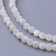 Shell Beads Strands(SSHEL-E571-38-3mm)-1