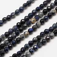 Natural Gemstone Sodalite Faceted Round Beads Strands, 3mm, Hole: 0.8mm, about 136pcs/strand, 16 inch(X-G-A129-3mm-24)