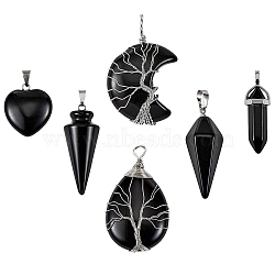 6Pcs 6 Style Natural Obsidian & Dyed & Heated Black Agate Pendants, with Platinum Tone Finding, Mixed Shapes, 22~55x15~31mm, 1pcs/style(G-SZ0001-91)