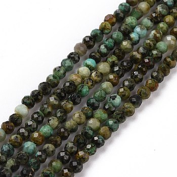 Natural African Turquoise(Jasper) Beads Strands, Faceted, Round, 2mm, Hole: 0.5mm, about 192pcs/strand, 6.10''(15.5cm)