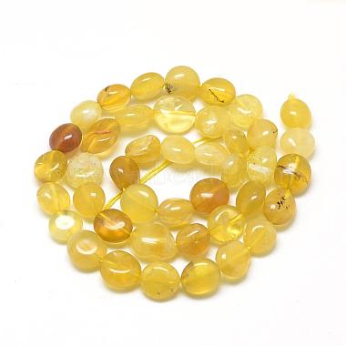 Chapelets de perles en opale jaune naturelle(G-R445-8x10-06)-2