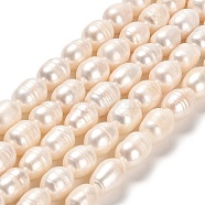 Natural Cultured Freshwater Pearl Beads Strands, Rice, Grade AB, Linen, 10~17x8~9.5mm, Hole: 0.6mm, about 26~29pcs/strand, 13.07~13.31inch(33.2~33.8cm)(PEAR-E016-067)
