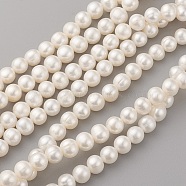 Natural Cultured Freshwater Pearl Beads Strands, Potato, Seashell Color, 8~9x7~8mm, Hole: 0.5mm, about 51pcs/strand, 14.17 inch(36cm)(PEAR-G007-27-01)