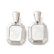 Acrylic Pendants, with Alloy Findings, Rectangle, Platinum, 18.5x10x3mm, Hole: 5.5x3mm(PALLOY-P303-16P)