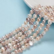 Natural Cultured Freshwater Pearl Beads Strands, Two Sides Polished, Nuggets, Seashell Color, 4~7x6~8x3.5~5mm, Hole: 0.6mm, about 43pcs/strand, 13.19 inch(PEAR-T003-09)