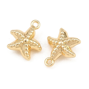Alloy Charms(AL-CBA83D5-10G)-3