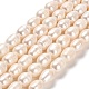 Natural Cultured Freshwater Pearl Beads Strands(PEAR-E016-067)-1