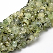 Natural Prehnite Gemstone Nuggets Bead Strands, 6~10x9~12x8~10mm, Hole: 1mm, about 15.3 inch~15.7 inch(G-J337-25)