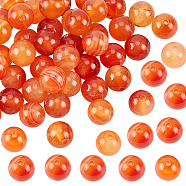 1 Strand Natural Red Agate Beads Strands, Round, Grade A, 8mm, Hole: 1mm, about 45pcs/strand, 16 inch(G-OC0001-92B)