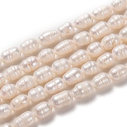 Natural Cultured Freshwater Pearl Beads Strands, Rice, Bisque, 7~8x5~6mm, Hole: 0.8mm, about 43pcs/strand, 13.39 inch(34cm)(PEAR-L033-64-01)