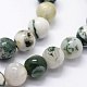 Natural Tree Agate Beads Strands(X-G-I199-03-6mm)-3