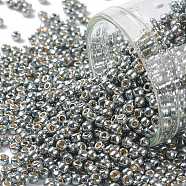 TOHO Round Seed Beads, Japanese Seed Beads, (PF565) PermaFinish Silver Grey Metallic, 11/0, 2.2mm, Hole: 0.8mm, about 1110pcs/bottle, 10g/bottle(SEED-JPTR11-PF0565)