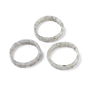 Natural Labradorite Stretch Bracelets, Faceted, Rectangle, 2-3/8 inch(6cm)(BJEW-F406-B19)