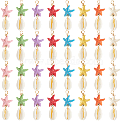 40Pcs Starfish Dyed Synthetic Turquoise & Natural Cowrie Shell Pendants, with Non-magnetic Synthetic Hematite Beads and Copper Wire Loops, Golden, Mixed Color, 32.5x14x7mm, Hole: 2.4mm(PALLOY-SC0004-41)