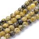 Natural Yellow Turquoise(Jasper) Beads Strands(G-R345-8mm-44)-1