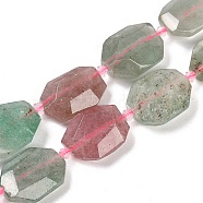 Natural Red & Green Strawberry Quartz Beads Strands, Faceted, Rectangle, with Seed Beads, with Seed Beads, 21~22x15~17x7~8mm, Hole: 1mm, about 16~20pcs/strand, 15.35~15.75''(39~40cm)(G-B125-P28-01)