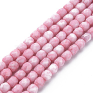 Opaque Baking Painted Glass Beads Strands, Imitation Stones, Faceted, Column, Light Coral, 5.5x5.5mm, Hole: 1mm, about 70pcs/strand, 15.94 inch(40.5cm)(EGLA-N006-008-A02)
