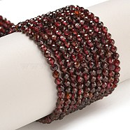 Natural Garnet Beads Strands, Faceted, Round, 3~3.5mm, Hole: 0.6mm, about 140pcs/strand, 15.35''(39cm).(G-I341-09C)