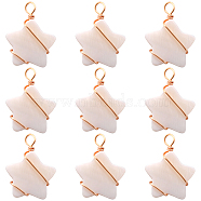 30Pcs Natural Freshwater Shell Pendants, Star Charms, with Real 18K Gold Plated Eco-Friendly Copper Wire Wrapped, Creamy White, 24x18x4mm, Hole: 4mm(FIND-BBC0002-65)