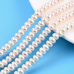 Natural Cultured Freshwater Pearl Beads Strands, Rondelle, Seashell Color, 7x3.5~5mm, Hole: 0.6mm, about 66~67pcs/strand, 14.57 inch(37cm)(PEAR-N015-07B)