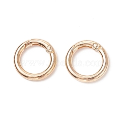 Alloy Spring Gate Rings, O Rings, Light Gold, 6 Gauge, 25x4mm, Inner Diameter: 17mm(X-PALLOY-O058-01)