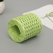 Raffia Ribbon, Packing Paper String, Raffia Twine Paper Cords for Gift Wrapping and Weaving, Green Yellow, 3~4mm, about 218.72 Yards(200m)/Roll(SENE-PW0003-104B)