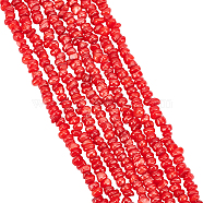 8 Strands Natural Freshwater Shell Beads Strands, Dyed, Nuggets Chips, FireBrick, 6~7x5~7x2~5mm, Hole: 0.9mm, about 50~54pcs/strand, 7.48 inch(19cm)(SHEL-FH0001-17)