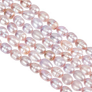 1 Strand Natural Cultured Freshwater Pearl Beads Strands, Rice, Thistle, 6.5~8.1x4.5~5mm, Hole: 0.7~0.8mm, about 55~56pcs/strand, 13.78 inch(35cm)(PEAR-GO0001-07)