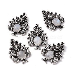 Natural Rainbow Moonstone Pendants, Nine-Tailed Fox Charms, with Antique Silver Color Brass Findings, 30x23x6mm, Hole: 4x2mm(KK-A173-01AS-09)