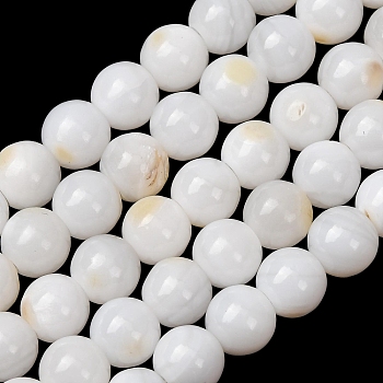 Natural Freshwater Shell Beads Strands, Smooth Round, White, 6mm, Hole: 0.7mm, about 33pcs/strand, 7.09''(18cm)
