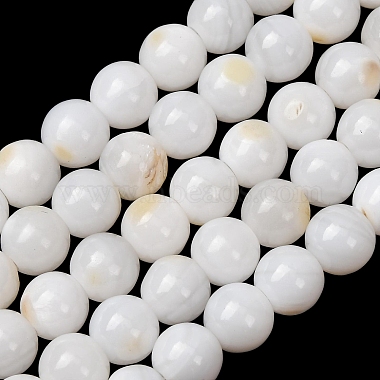 Natural Freshwater Shell Beads Strands(SH-CBA2978-07D-04)-1