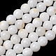 Natural Freshwater Shell Beads Strands(SH-CBA2978-07D-04)-1