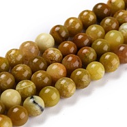 Natural Yellow Opal Beads, Round, 6.5mm, Hole: 1mm, about 63pcs/strand, 153.54''(390cm)(G-P446-02A)
